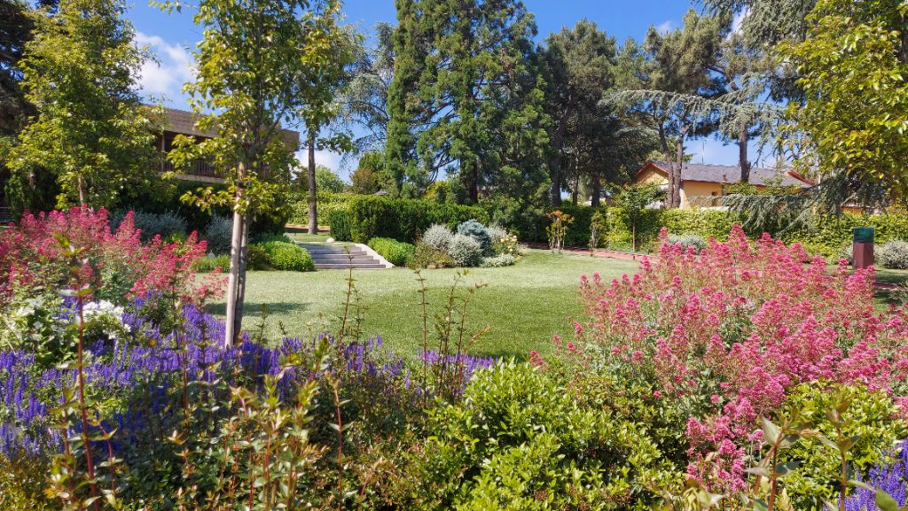 Jardín de Biodiversidad Floral en Zona Centro — Feronia Paisajismo