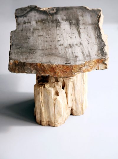 Mesa de piedra Fosil Gris