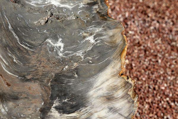 Mesa de piedra Fosil edicion especial