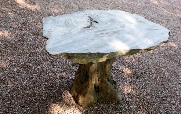 Mesa de piedra Fosil edicion especial