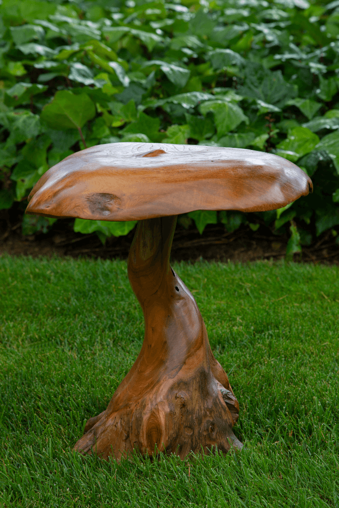 Hongos de decoración