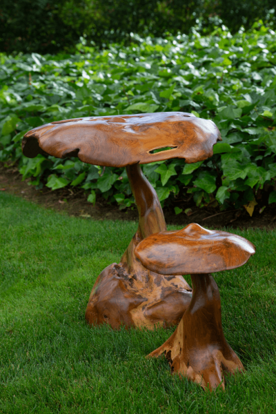 Hongos de decoración