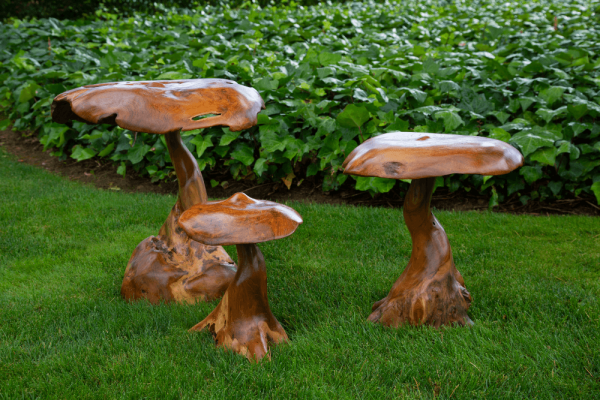 Hongos de decoración