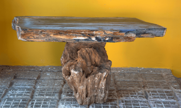 Mesa de piedra Fosil Unique